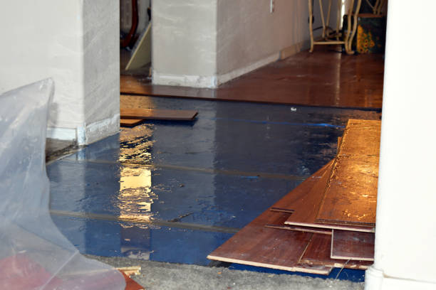 Professional Sewage Cleanup technician working in Naples, ME